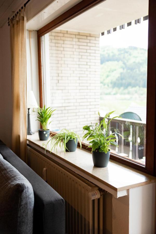 Ferienwohnung Mit Seeblick — Sport Und Erholung Winterberg Dış mekan fotoğraf